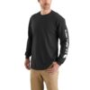 Carhartt Long Sleeve Graphic Logo Men's Shirt