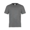 Canada Sportswear Men's Crew Neck Polyester Tee