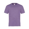 Canada Sportswear Men's Crew Neck Polyester Tee