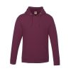 Canada Sportswear Vault – Pullover Hoodie - Image 8