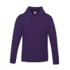 Canada Sportswear Vault – Pullover Hoodie - Image 5